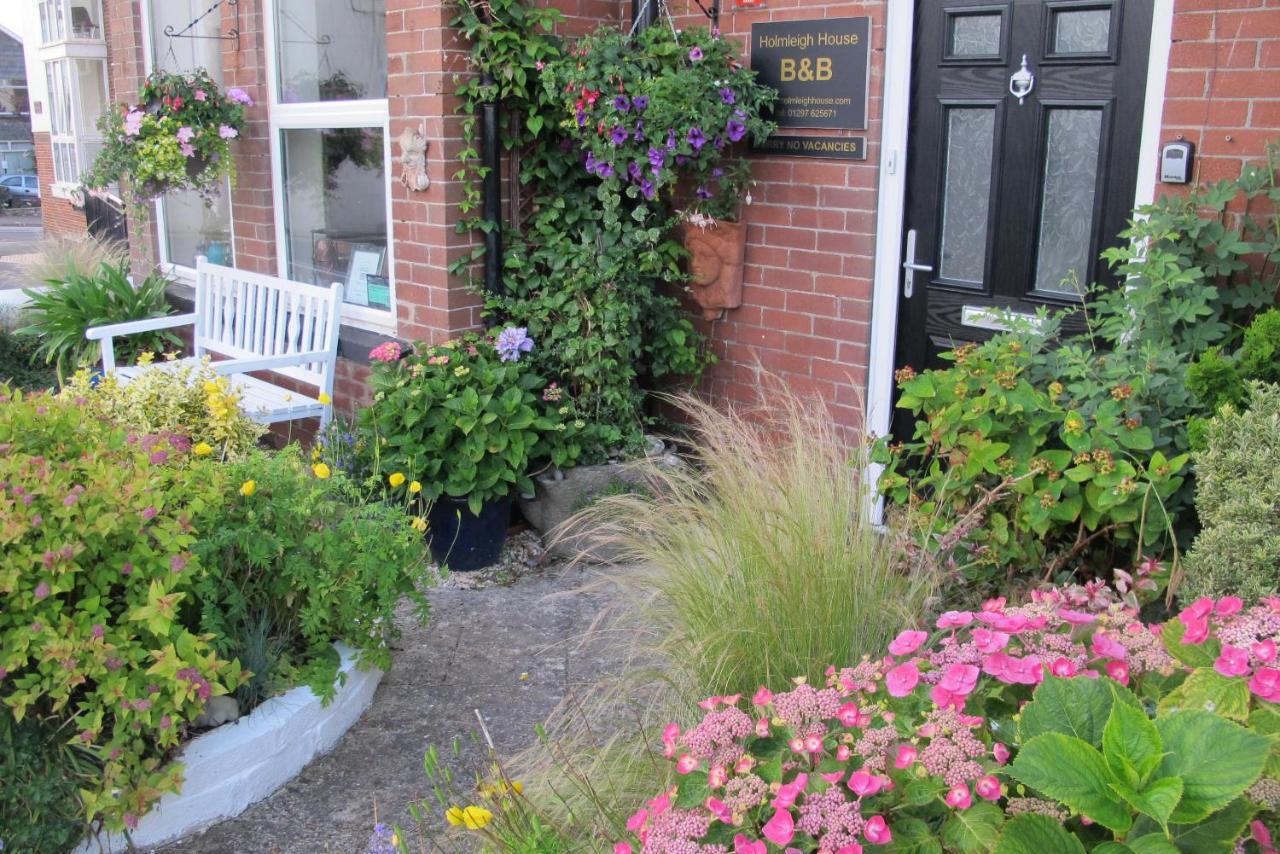 Holmleigh House Bed And Breakfast Ситон Экстерьер фото